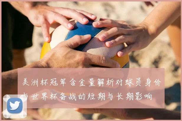 美洲杯冠军含金量解析对球员身价与世界杯备战的短期与长期影响