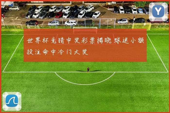 世界杯竞猜中奖彩票揭晓 球迷小额投注命中冷门大奖