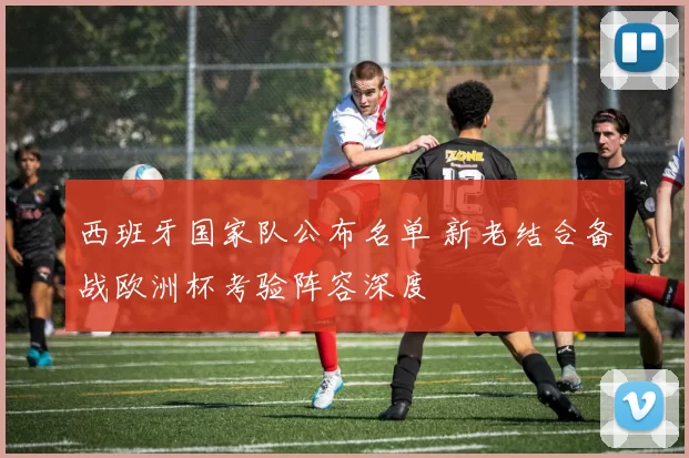 西班牙国家队公布名单 新老结合备战欧洲杯考验阵容深度